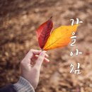 라인댄스(야) 이미지