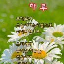 어버이날에 즈음하여~~ 이미지