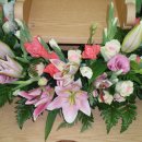 토요일(특별) 이미지