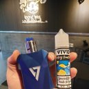 비비드독 이미지