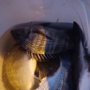 대림민박 이미지