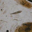 희망동물병원 이미지