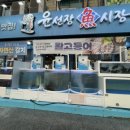 선장24시횟집
