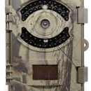 부엉이랜드 이미지