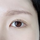 메쎄포스빌 | 안양 속눈썹펌 모노뷰티 노글루 블랙틴팅펌 임산부 후기