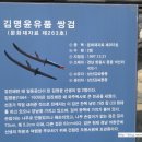 김명윤유품쌍검 이미지
