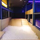 러쉬트램펄린 이미지