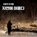 자연에 머물다 | 춘천 글램핑 자연에머물다 겨울 영하 캠핑 후기