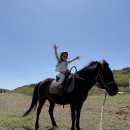 성산읍 고성리 352-4 | 제주 동쪽 성산 승마 추천, &#39;광치기해변승마&#39; 가성비 최고 어린이 승마체험 내돈내산후기
