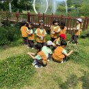 다송어린이집 이미지