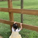 봉성목장 이미지