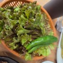 백년순수갈비 수원영통점 이미지