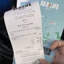 쭈니sea | 부산 아이랑 실내 갈만한곳 - SEA LIFE 부산 아쿠아리움 내돈내산 후기(인어공주 공연 관람)