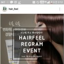 리헤어필 티스토리