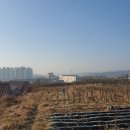 블랙야크정촌점