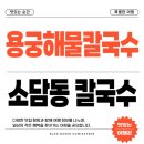 세종 소담동칼국수 맛집 용궁해물칼국수, 해산물이 이렇게나?!