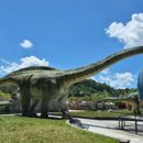 고성 가고파펜션 이미지