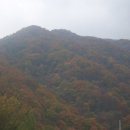 연화신방