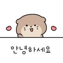 채플린안경원 이미지