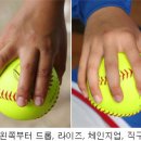 국민생활체육전국소프트볼연합회