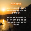 써니의 허브다이어트