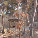 문성자연휴양림 이미지