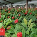 도암1리마을회관 이미지