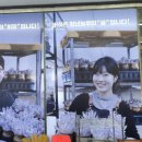 신갈농장 | 맛집] 버섯 샤브샤브가 맛있는 "청년농부버섯칼국수" 방문 후기 (Feat. 청년농부버섯농장, 신갈외식타운)