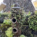 방림원 식물원 | 제주도 숨은 힐링 명소 : 11월에 다녀온 제주 수목원 방림원 솔직 후기 (입장료·운영시간·볼거리 총정리)