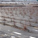 인서농장 이미지