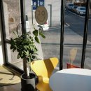 카페온다 이미지