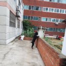 일로스탠다드 이미지