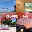 리얼스틸펜션1
