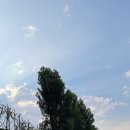 어울림옷수선 - 수영구 연수로263번길 12-28 | 어울림옷수선