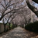 금산종합고등학교 이미지