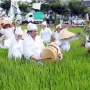 용전2로 이미지