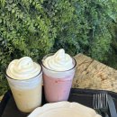 엘까미노 이미지