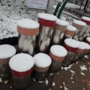 도레미스툴 이미지