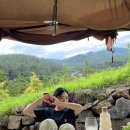 냥냥민박 이미지