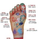 건강 마사지(손, 발) 이미지