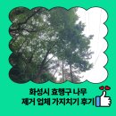화성시 효행구 나무 제거 업체 가지치기 후기