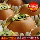 덕천2농장 네이버블로그