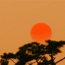 달빛자락 이미지