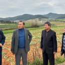 동향농장 이미지