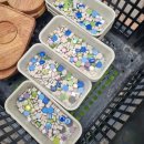 좌항초등학교(병설) 이미지