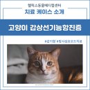 헬릭스동물메디컬센터 이미지