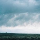 다인이비인후과병원 이미지