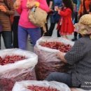 물맑은양평체육관 이미지