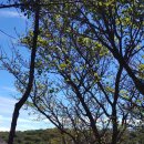 토요일, 일요일 이미지