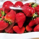 스마일농장 이미지